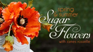 James Rosselle Sugar Flower Craftsy Class Discount Link | ErinBakes.com