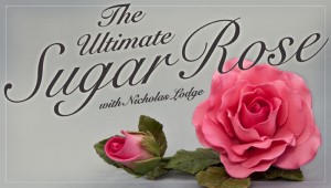 Nicholas Lodge Sugar Rose Craftsy Class Discount Link | ErinBakes.com