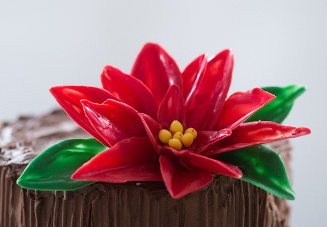 Chocolate Flower Tutorials | Chocolate Poinsettia | Erin Gardner
