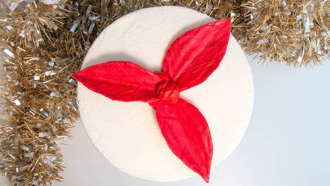 Adding the Chocolate Poinsettia Leaves to the Cake | Erin Bakes