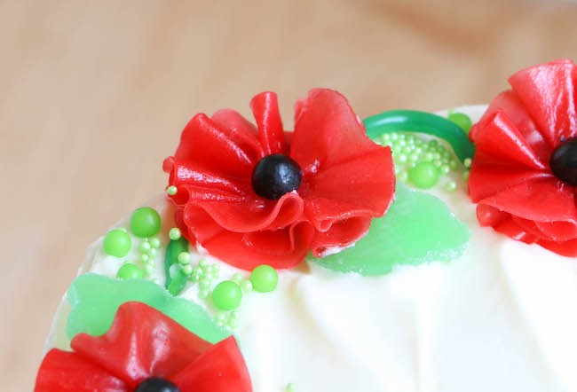 Fruit Roll-Up Poppy Close Up | Erin Bakes